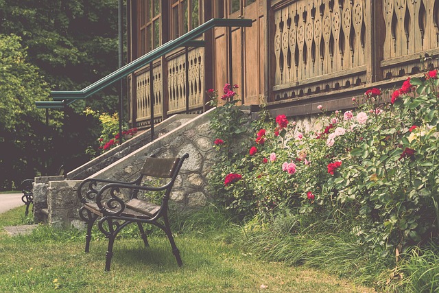 关注篮球的 关注篮球的