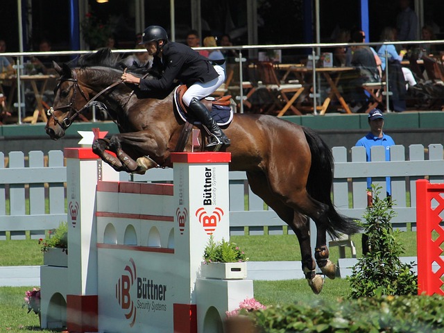 据着重要位 据着重要位