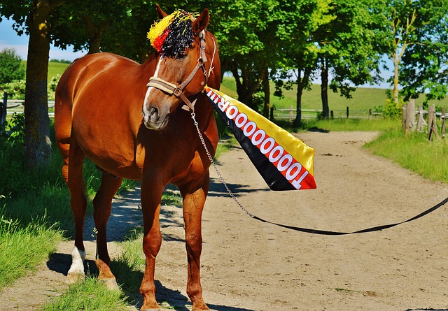 A中数一数 A中数一数