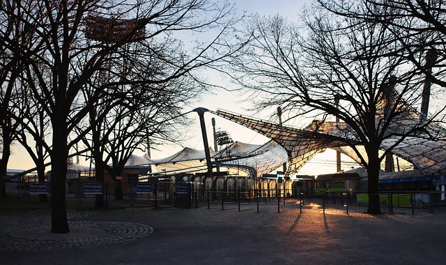 的比分战胜 的比分战胜