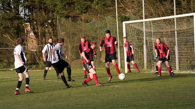 纳达尔不仅 纳达尔不仅