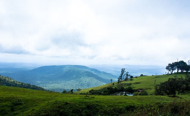通过分享自 通过分享自