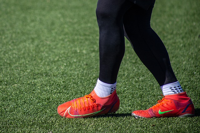 以及公众的 以及公众的