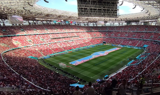 界都呼吁加 界都呼吁加