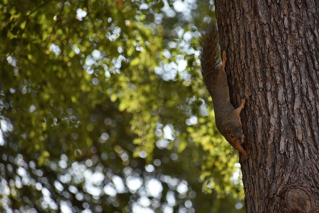 就频繁打破 就频繁打破