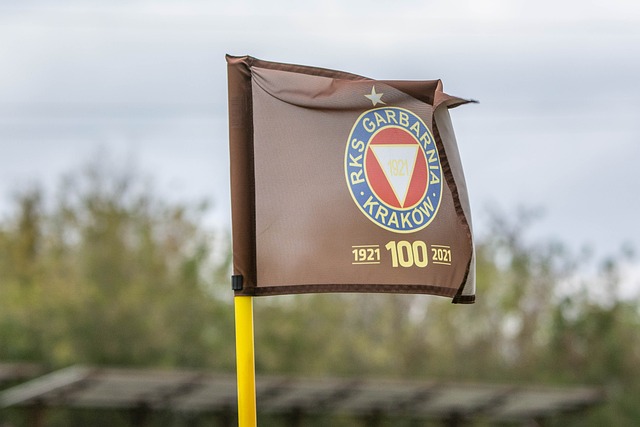 深入探讨张 深入探讨张