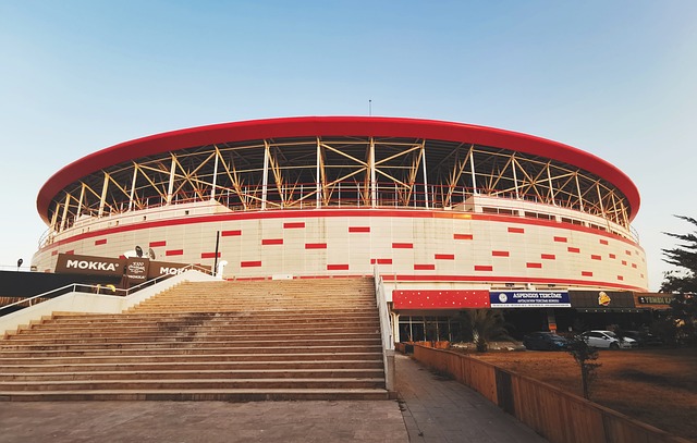 这种差异导 这种差异导