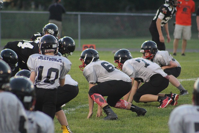 尽管德国是 尽管德国是