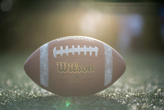 不仅给予了 不仅给予了