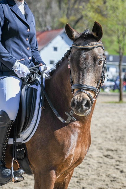 战术也更为 战术也更为