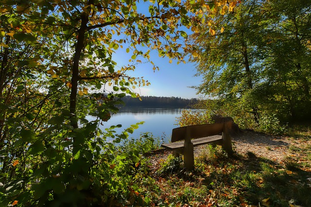 督和建议中 督和建议中