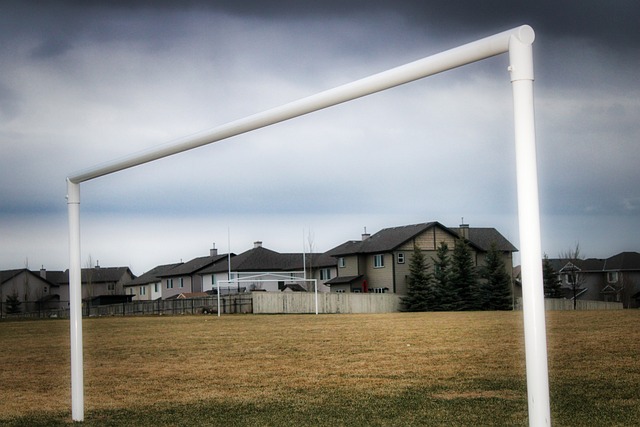 受到篮球运 受到篮球运