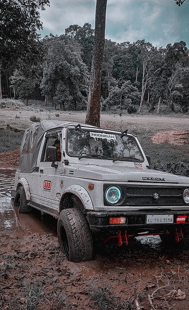 体育明星遗 体育明星遗